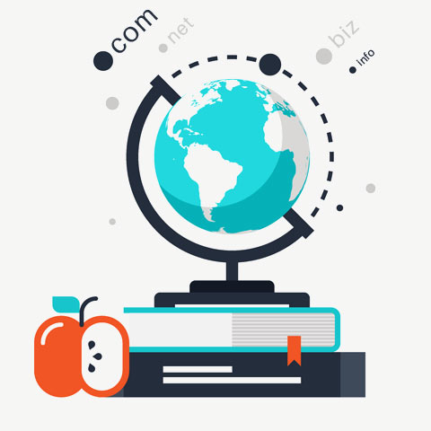 Domain Name Registration Services